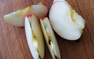 Compare Mold Apples to Dog Gone Mold Apples