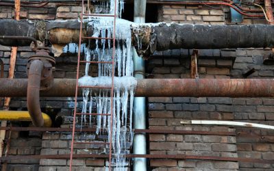 Cold Weather CAN Lead to Mold Growth