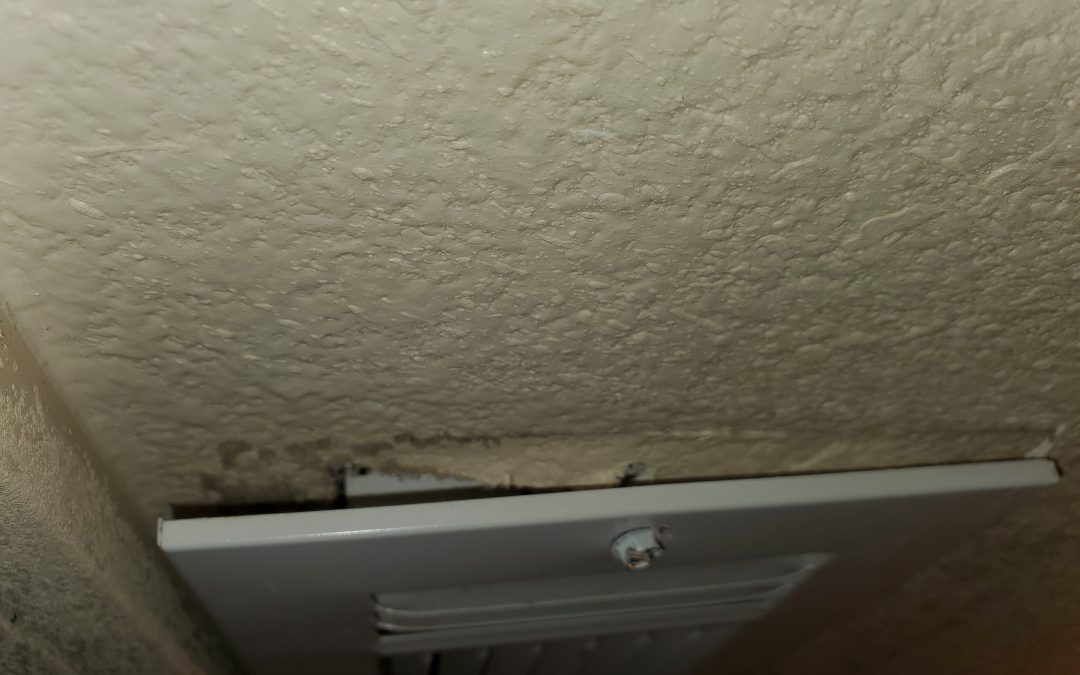 Check for Mold? You Might Be Liable