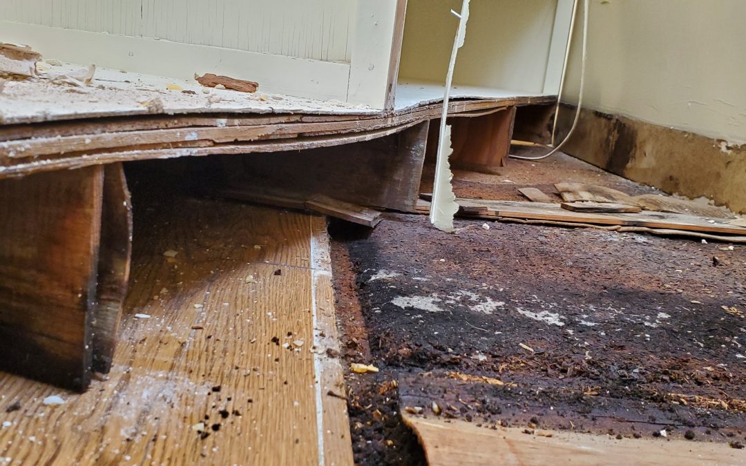 Home Inspection Missed Mold = $20,000 Cleanup