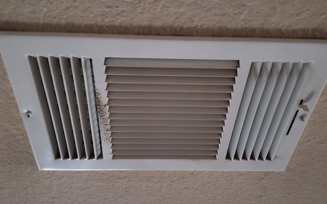 Mold loves HVAC air ducts.